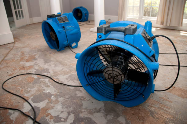 Best Commercial water damage restoration  in Staunton, IL