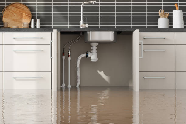 Best Commercial water damage restoration  in Staunton, IL