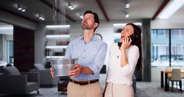 Best Water damage repair service  in Staunton, IL